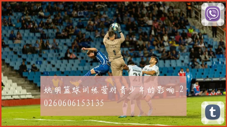 姚明篮球训练营对青少年的影响_20260606153135