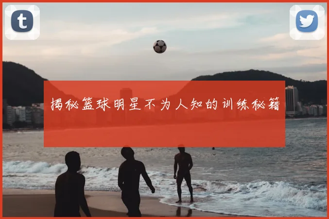 揭秘篮球明星不为人知的训练秘籍